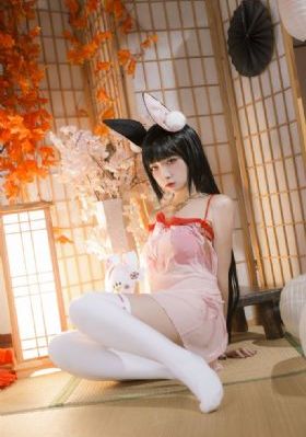 电影留住真情_DVD在线观看电视